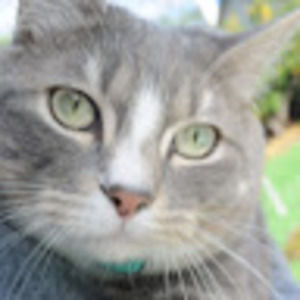 Meet your Posher, Halli